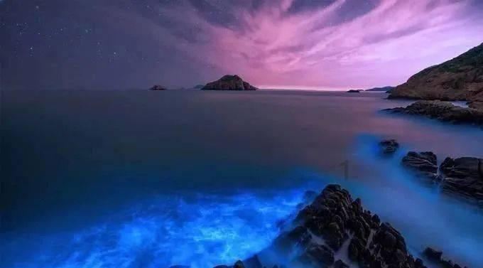 宝可梦探险寻宝