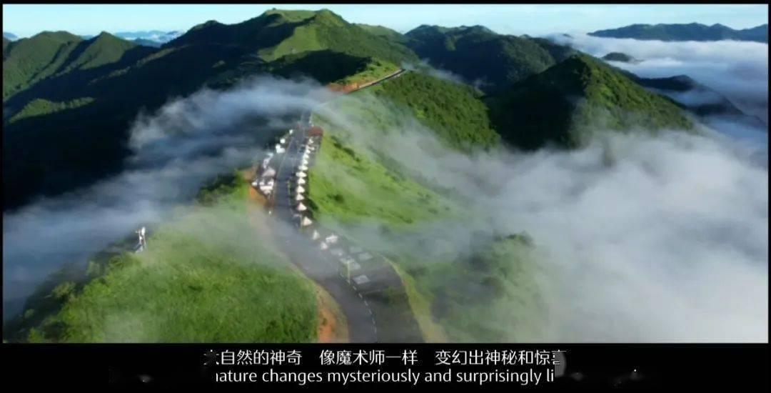 以科技金融活水助推科创企业高质量发展