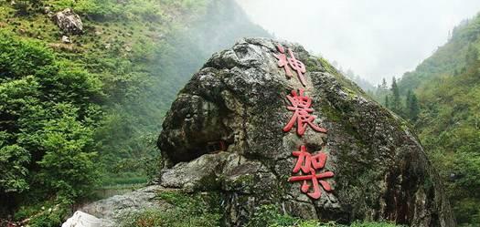 救援卡通老虎